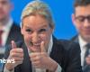 Federal elections – Alice Weidel is AfD candidate for chancellor – protests before party conference – News