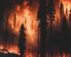 Reinsurance shows little sensitivity to fires in California