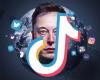 Elon Musk plans to buy TikTok: imminent revolution?