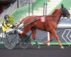 Jango Vici returns to Vincennes on Sunday