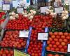 Morocco, leading exporter of fruits and vegetables to Spain