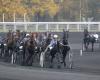 The predictions for the Quinté de Paris-Vincennes for Tuesday January 14, 2025 by Jack Vautrin