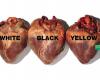 Oliviero Toscani and his successful advertising campaigns for Benetton