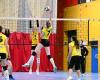 VOLLERY BALL (Pre-national women): A great victory for Le Creusot against Sallins les Bains