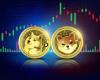 Dogecoin up 10%, Shiba Inu gains 6%: What is fueling this surge?