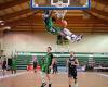 Basketball: Albi loses to the wire in Jegun