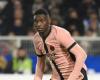 Juventus Turin-PSG agreement for a loan of Randal Kolo Muani but… (Transfers)