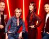 Patricia Kaas cash on her participation in The Voice: “I feared that no candidate would come to my team”