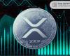 Expert Says With XRP You Are Not Just Holding a Crypto, But a Key to a New Financial Ecosystem