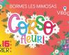 The Corso Fleuri of Bormes-les-Mimosas in partnership with BFM Toulon Var