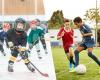 Organized sport during childhood and adolescence promotes academic success in adulthood