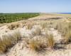 A human skull found by a walker on a dune in Gironde – South West