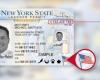 New Yorkers can get REAL ID and Enhanced ID. What’s the difference and who are they for?