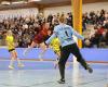 Handball (D2F): Bergerac awaits confirmation