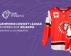 Support the LHC Foundation by participating in the Champions Hockey League jersey auction – Lausanne HC