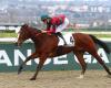 Deauville: the hat-trick for Valmacca