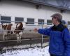 The Swiss farmer: Dispute over wind farm: Will there be expropriation?