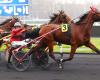 PMU – Arrival of the quinté on Saturday January 18 at Paris-Vincennes: Isofou du Chêne as a good omen