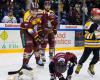 Ice hockey: soft toys bring smiles back to Genève-Servette