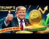 Donald Trump enters the world of crypto! A new meme coin is causing a sensation on the market!