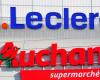 Leclerc and Auchan launch an urgent product recall in France for this very popular seasonal vegetable