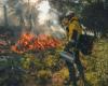 In Aude, firefighters use fire in winter to limit fires in summer: News