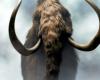 Scientists close to resurrecting certain extinct species?