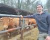 at 26, the son of a former Love candidate is in the meadow, is finally a farmer