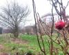 in this intriguing garden in the Oise, the gardeners come from all religions