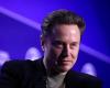 Elon Musk's Alleged Exploits in 'Path of Exile II' Video Game Sows Doubt Among Experts