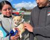 Moving reunion with animals rescued from fires in Los Angeles