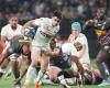 Champions Cup – “The Stormers, symbols of South African disinterest in the Champions Cup”: Midol's opinion