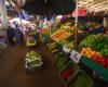 Morocco: the Minister of Agriculture targets agricultural price gaps | APAnews