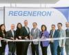 REGENERON STRENGTHENS ITS PRESENCE IN CANADA BY OPENING ITS FIRST HEAD OFFICE TO BETTER MEET THE NEEDS OF CANADIANS WITH SERIOUS ILLNESSes English