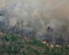 Brazil | Plant area burned by fires jumped 79% last year