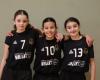 Pont-Saint-Esprit: the Spiripontain Basketball Club represented in the Gard Basketball Selection