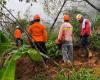 Indonesia: 17 dead in landslide on Java island