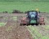 In Haute-Loire, a farmer fatally runs over his mother with a tractor before committing suicide