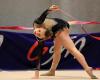 Loire Atlantique – Gymnastics. End of season in Champagne for Nantes athletes. Sport