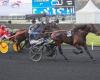 Prix ​​of America Legend Race: 18 runners to conquer the Grail – Trot