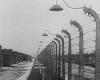 Liberation of the Nazi camps: a duty to remember