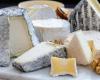 Reminder of Morbier cheeses sold throughout France after possible contamination by the bacteria E. coli