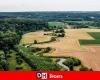 Closed streets, flood alert river: strong precipitation affect Wallonia