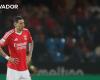 The fast thinking did not come to cure the open wound (the chronicle of Casa Pia-Benfica)-Observer