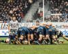 Rugby – Top 14: with Gorgadze and Whitelock, the Paloise Section finally brings together its big bosses