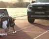 Amputee former Marine Mark Ormrod hopes for truck-pull record