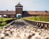 80th anniversary of the liberation of Auschwitz: who will be invited to the commemorations? : News