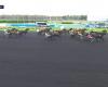 Intercontinental cup of amateurs – Paris -Vincennes – 01/25/2025: Starts, forecasts and … – Equidia.fr