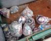 Sorting of waste: Echandens is delighted with the success for plastic