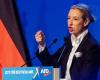 Alice Weidel, the “iron lady” of the German extreme right